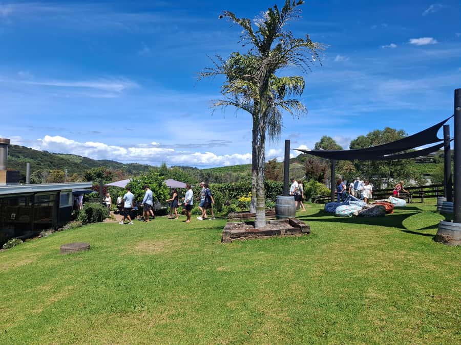 Waiheke Island: Sip and Savor 3 Vineyards Tour with Lunch - Getting around Waiheke without the transport puzzle