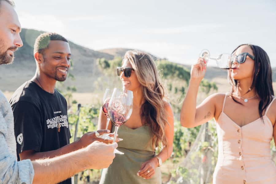 Waiheke Island: Wine Tour & Lunch at Award Winning Venue - Key points at a glance