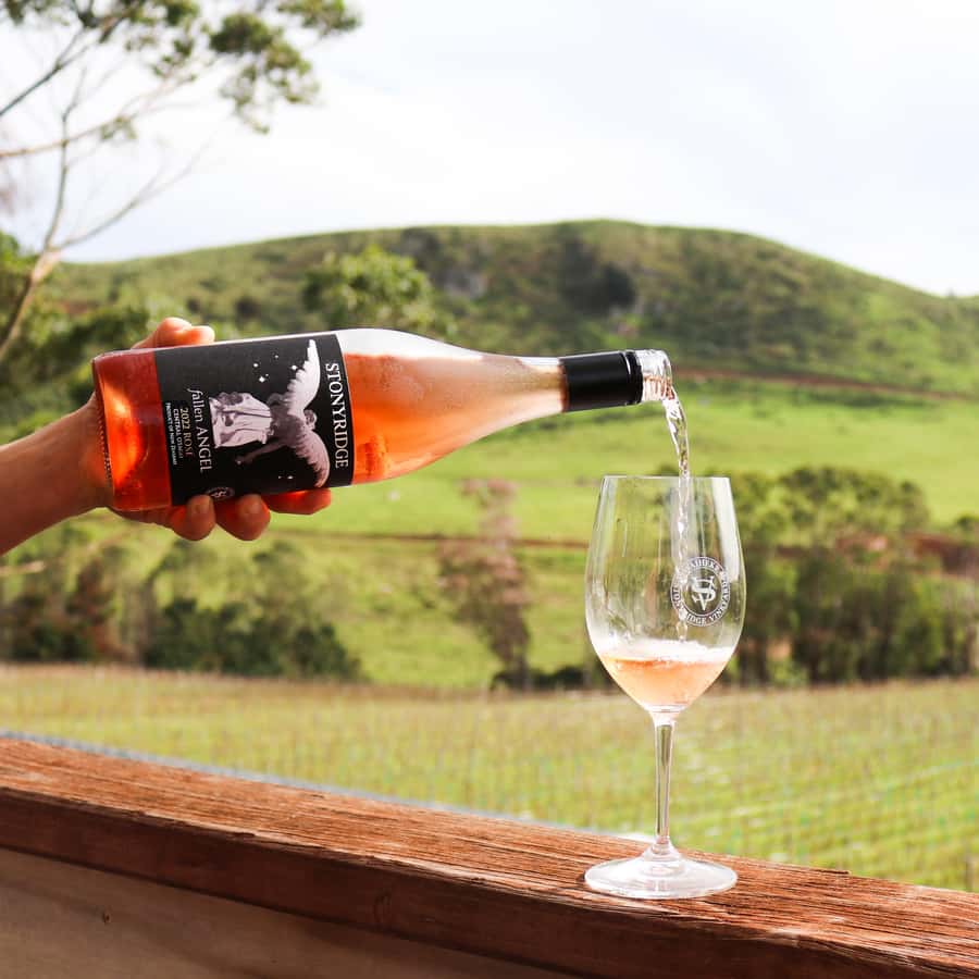 Waiheke Island: Wine Tour & Lunch at Award Winning Venue - Beachfront lunch at Onetangi