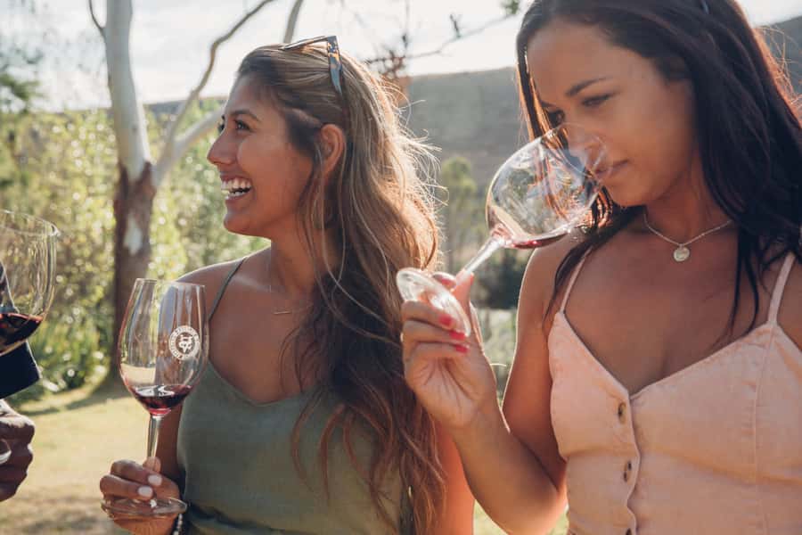 Waiheke Island: Wine Tour & Lunch at Award Winning Venue - Transport, timing, and the return to Auckland