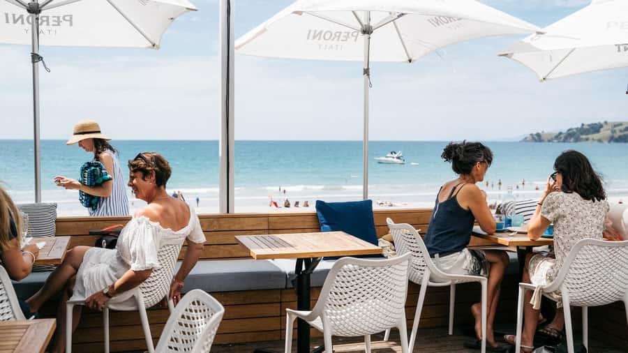 Waiheke Island: Wine Tour & Lunch at Award Winning Venue - Practical tips for a better day