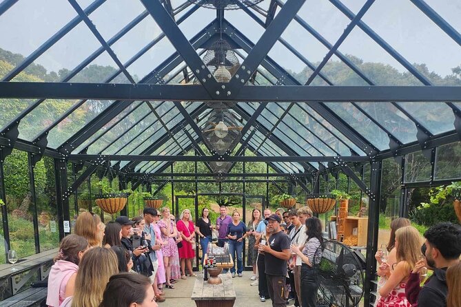 Waiheke Island Wine Tour with Tastings & Gourmet Beachfront Lunch - Why Waiheke works so well as a wine day trip