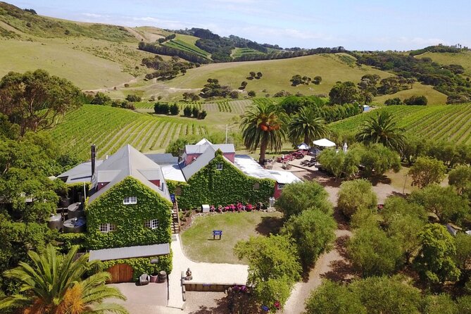 Waiheke Island Wine Tour with Tastings & Gourmet Beachfront Lunch - Stonyridge and the feel of the island’s wine country