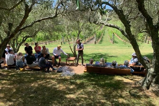 Waiheke Island Wine Tour with Tastings & Gourmet Beachfront Lunch - The final tasting and sea views toward Auckland
