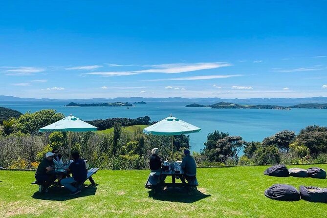 Waiheke Island Wine Tour with Tastings & Gourmet Beachfront Lunch - The guides are a major part of the value