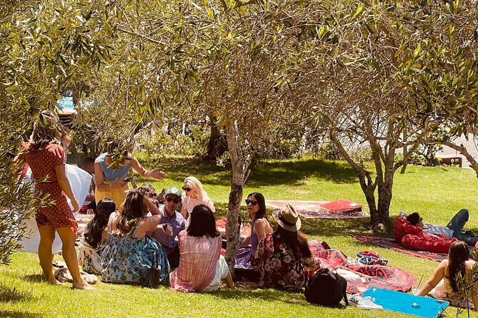 Waiheke Island Wine Tour with Tastings & Gourmet Beachfront Lunch - Cable Bay: a polished first tasting