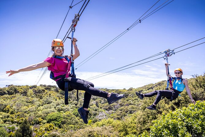 Waiheke Island: Zipline And Forest Walk - Key points before you book