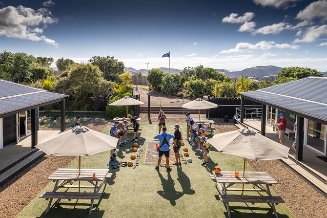 Waiheke Island: Zipline And Forest Walk - From Auckland Harbour to Matiatia Wharf