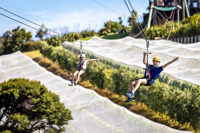 Waiheke Island: Zipline And Forest Walk - The forest walk back to the visitor center