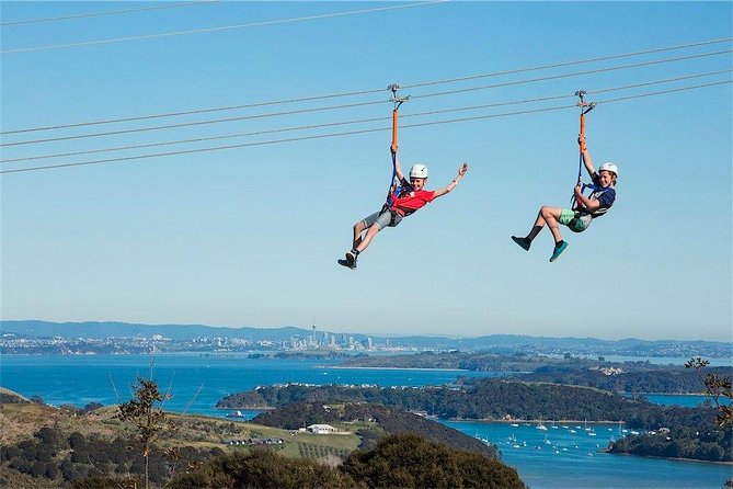 Waiheke Island: Zipline And Forest Walk - What the guides add to the experience