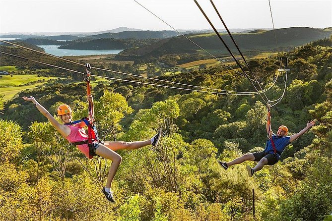 Waiheke Island: Zipline And Forest Walk - Price, ferry costs, and what you receive