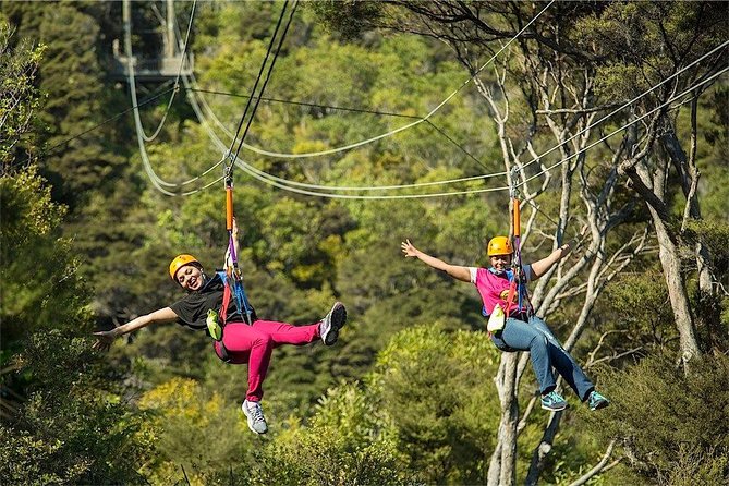 Waiheke Island: Zipline And Forest Walk - Who should book this Waiheke outing?