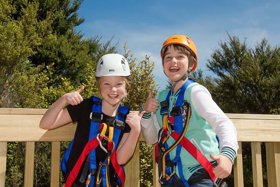 Waiheke Island: Zipline and Native Forest Adventure Trip - Booking advice for a smooth day