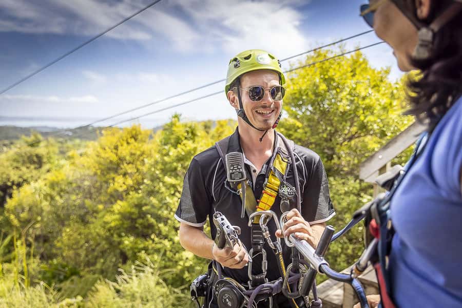 Waiheke Island: Zipline and Native Forest Adventure Trip - Safety and guide quality are major strengths