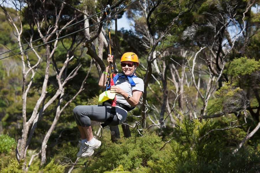 Waiheke Island: Zipline and Native Forest Adventure Trip - What the $89 price really covers
