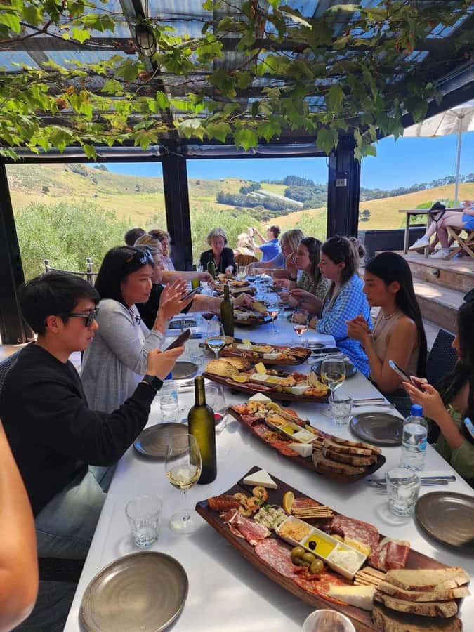 Waiheke: Scenic Taste and Graze Tour with Wine, Whisky, Beer - Who should book this experience?