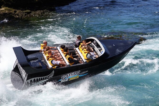 Waikato River Jet Boat Ride from Taupo - Who should choose this ride?
