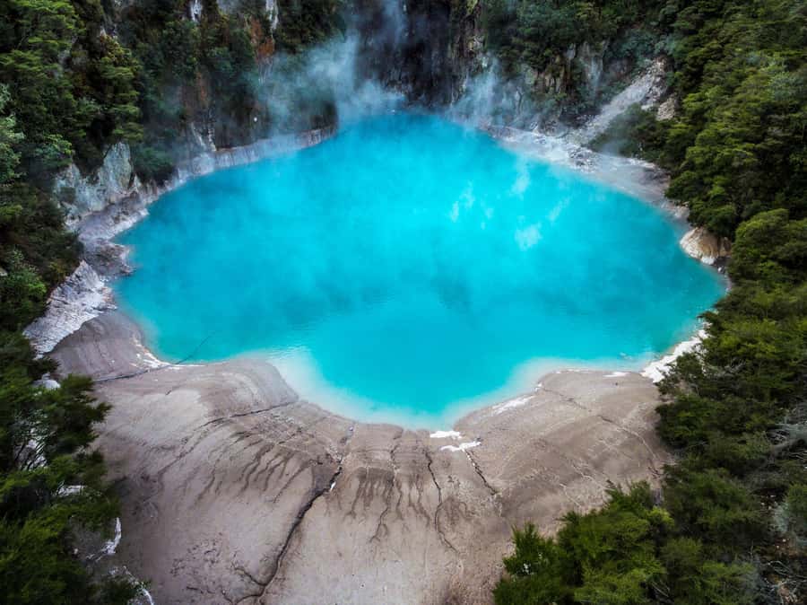 Waimangu: Volcanic Valley Walk and Lake Rotomahana Cruise - Walking from steaming pools to Inferno Crater