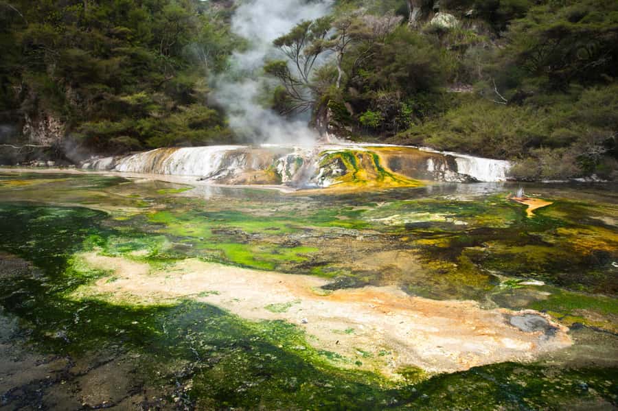 Waimangu: Volcanic Valley Walk and Lake Rotomahana Cruise - The Pink and White Terraces beneath the lake