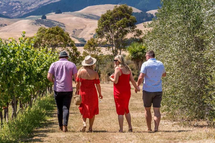 Waipara Valley Private Wine Tour with Tastings - What Makes This Waipara Tour Worth Considering