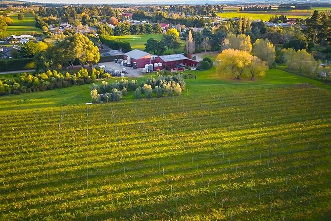 Waipara Valley Winery Tour Wine Tastings and Scenic Views - The wines and food are the real value