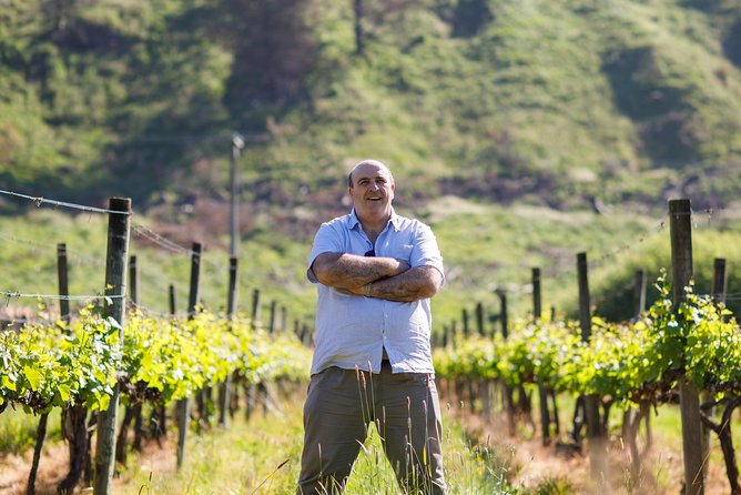 Waipara Wine Experience for 2 or more, inc tastings and lunch - Timing, pickup, and practical points