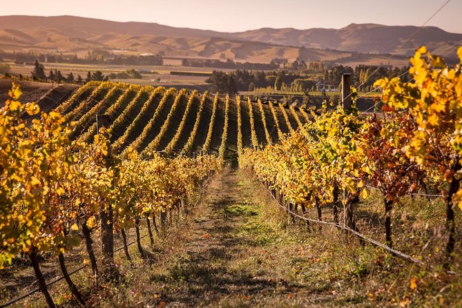 Waipara Wine Tour from Christchurch - including Lunch & Tastings - Why Waipara makes a good half-day escape
