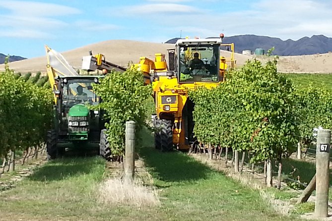 Waipara Wine Tour from Christchurch - including Lunch & Tastings - What the guide adds to the experience