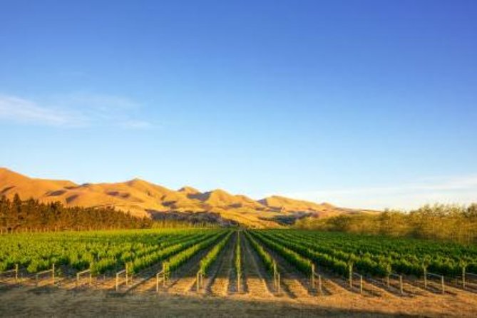 Waipara Wine Tour from Christchurch - including Lunch & Tastings - Meeting at Cathedral Square and settling into the van