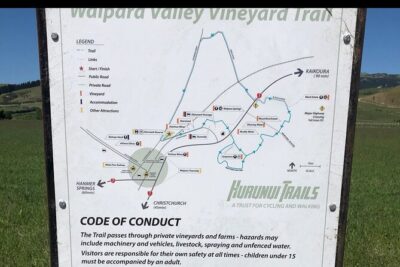 Waipara Wine Trail Tour From Christchurch