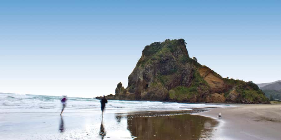 Waitakere Ranges Wilderness Experience Tour from Auckland - Quick reasons to consider this tour