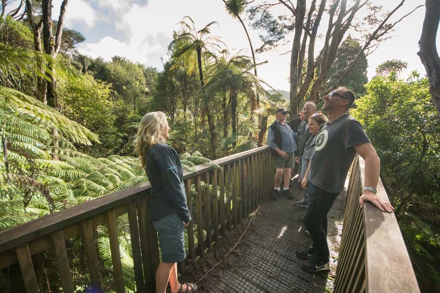 Waitakere Ranges Wilderness Experience Tour from Auckland - Piha Beach and the power of the west coast
