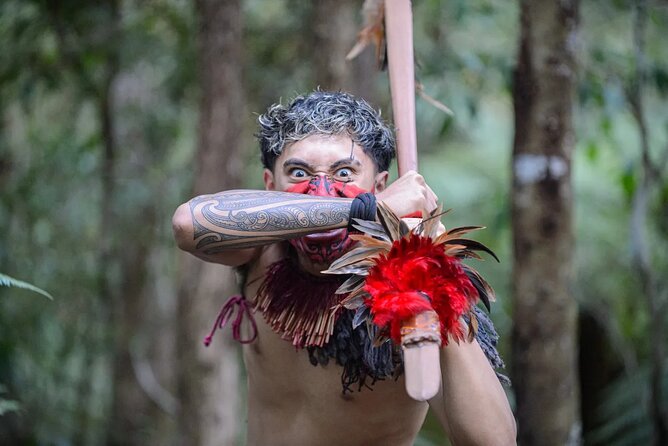 Waitangi Treaty Grounds Tour from Auckland - Why Waitangi matters to a New Zealand trip