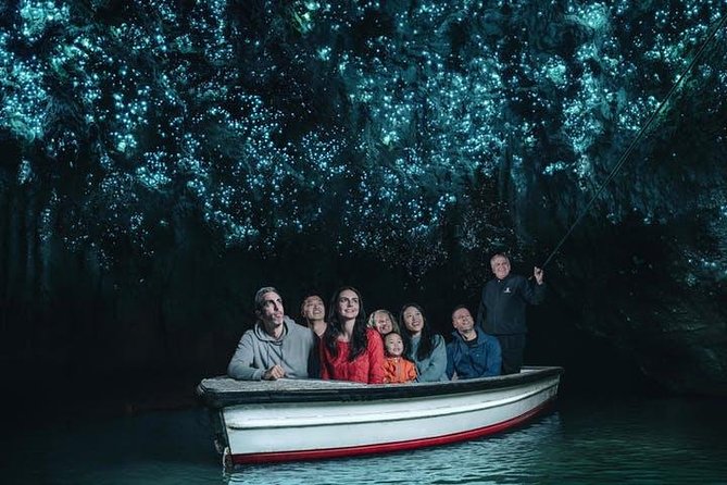 Waitomo Caves Private Tour from Auckland - Key points at a glance