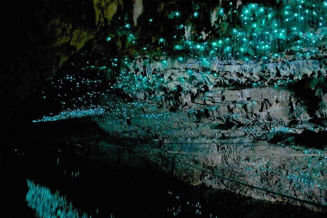 Waitomo Caves Private Tour from Auckland - A private group, with Bob as the guide