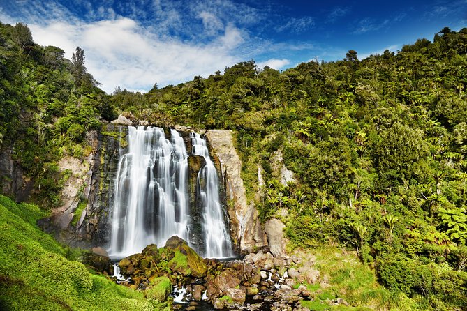Waitomo Caves Private Tour from Auckland - Who will get the most from this tour?