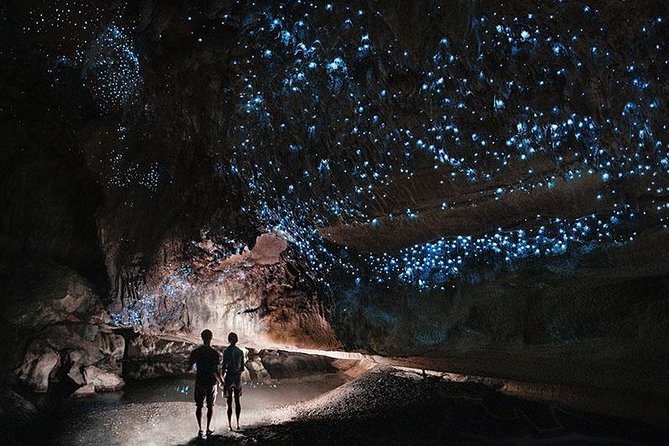 Waitomo Caves Private Tour from Auckland - Entering the Waitomo Glowworm Caves