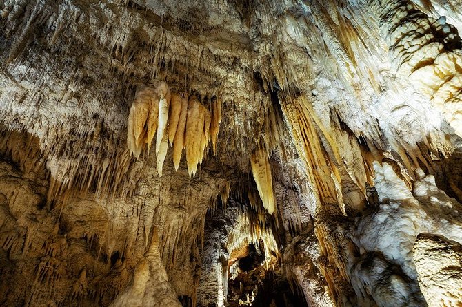 Waitomo Caves & Rotorua - Te Puia Small-Group Tour from Auckland - Inside the Waitomo Glowworm Caves
