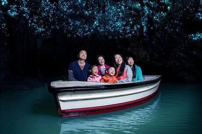 Waitomo Caves & Rotorua - Te Puia Small-Group Tour from Auckland - Who should book this tour?