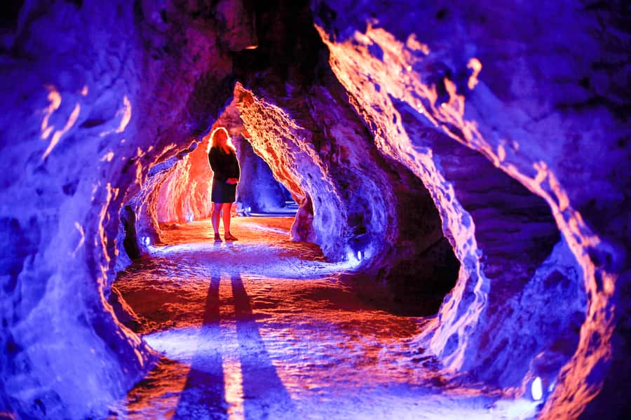 Waitomo Caves: Ruakuri Glowworm Cave Guided Walking Tour - Key points to know before you go