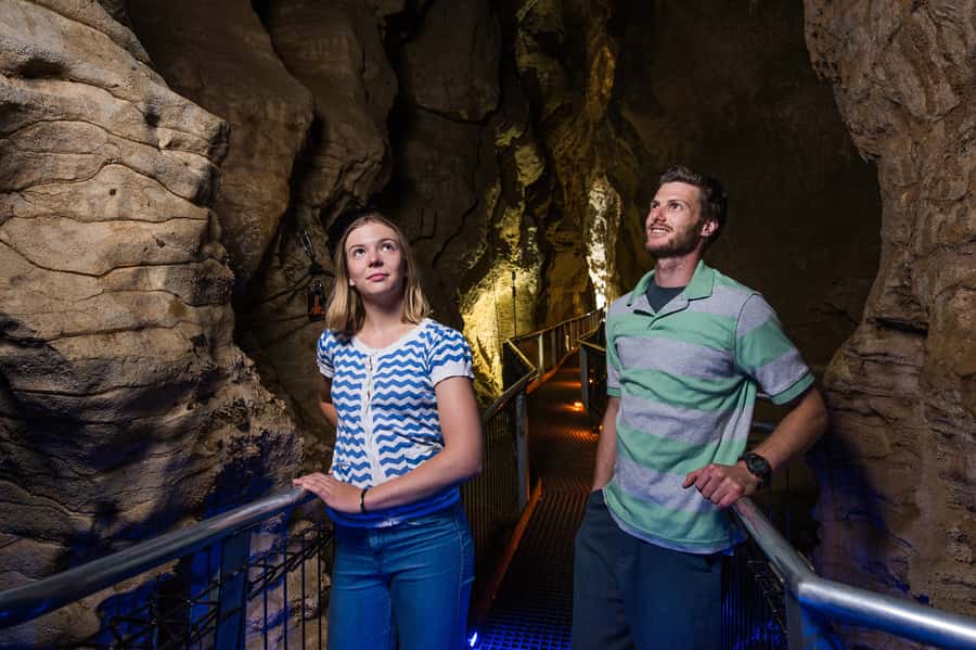 Waitomo Caves: Ruakuri Glowworm Cave Guided Walking Tour - Why Ruakuri Cave feels different from a quick glowworm stop