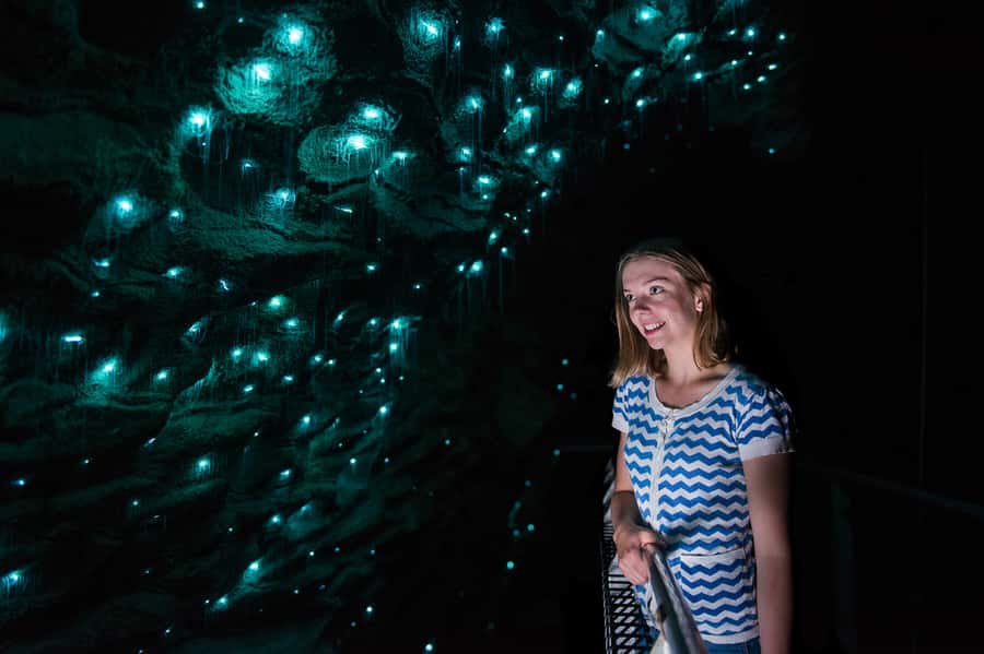 Waitomo Caves: Ruakuri Glowworm Cave Guided Walking Tour - Holdens Cavern, Drum Passage, and the limestone formations