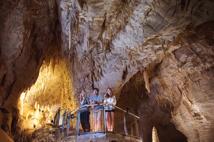 Waitomo Caves: Ruakuri Glowworm Cave Guided Walking Tour - Stories, legends, and guides who make the difference