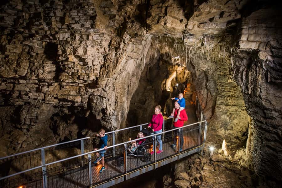 Waitomo Caves: Ruakuri Glowworm Cave Guided Walking Tour - How long the tour feels and who it suits