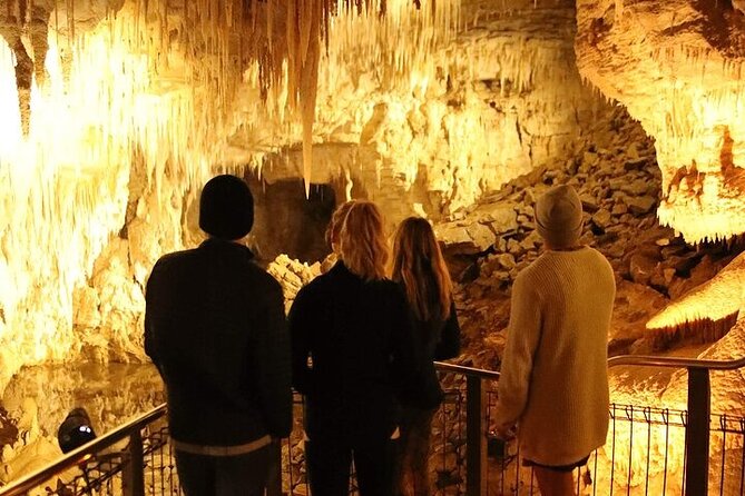 Waitomo Glow Worm Caves - Booking, weather, and cancellation details