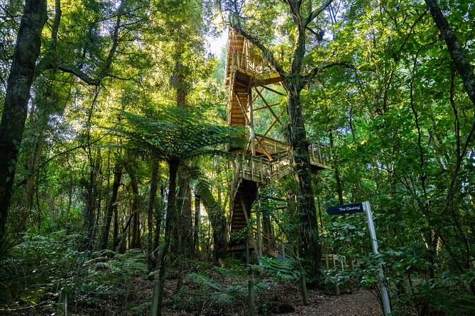 Waitomo GlowWorm cave & Sanctuary Mountain Ancient Walk Tour - Is $632.98 per person fair value?