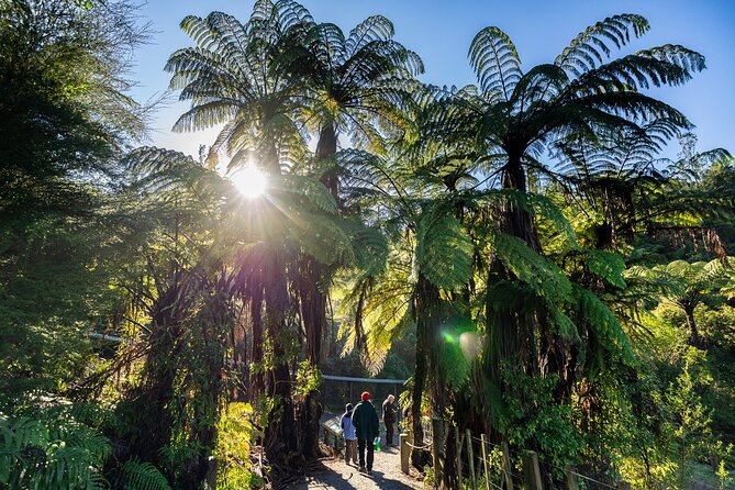 Waitomo GlowWorm cave & Sanctuary Mountain Ancient Walk Tour - Should you book the Waitomo and Maungatautari tour?