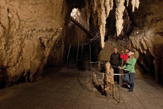 Waitomo Glowworm Caves Guided Tour - Why Waitomo’s glowworms are worth seeing