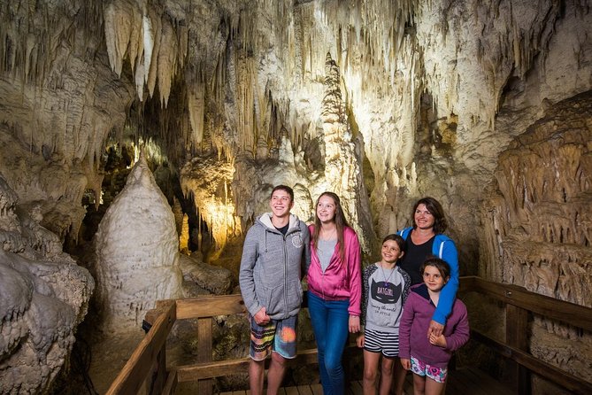 Waitomo Glowworm Caves Guided Tour - What the guides add to the experience
