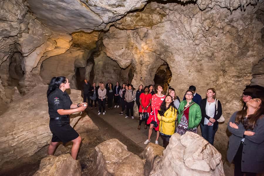 Waitomo: Glowworm Caves Guided Tour by Boat - The Cathedral Cave and its remarkable acoustics